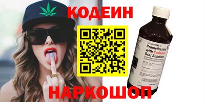 СК Кингисепп
