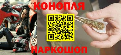 СК Кингисепп