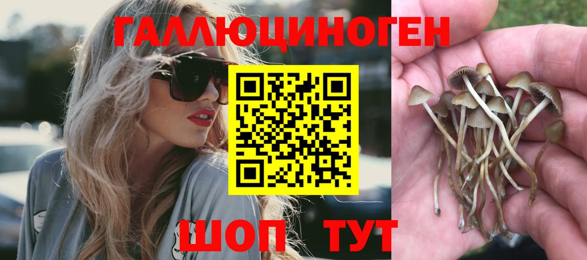 Псилоцибиновые грибы Magic Shrooms Дубна