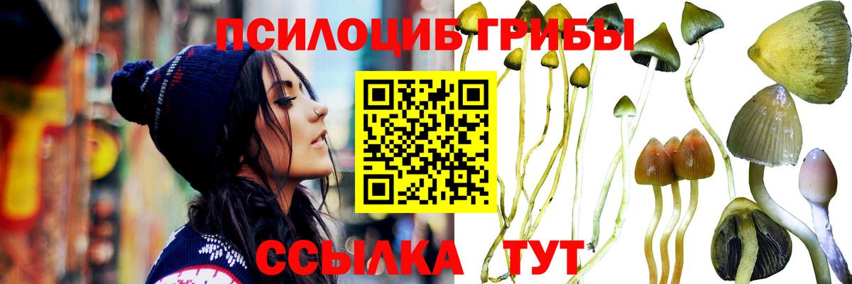 Дубна  Галлюциногенные грибы Cubensis  Вход с VPN 